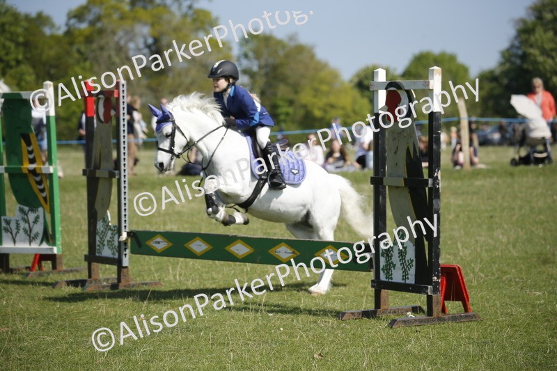 20250427-2052 - Class 13 - Novice Jumping 60cm