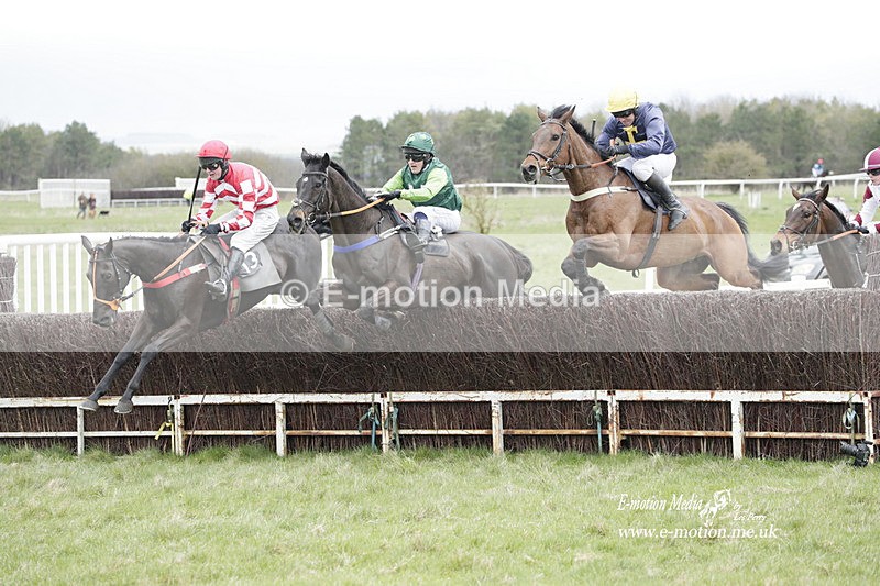 PtP 260323 0490 - New Forest Hounds Point-to-Point Larkhill 26/03/23