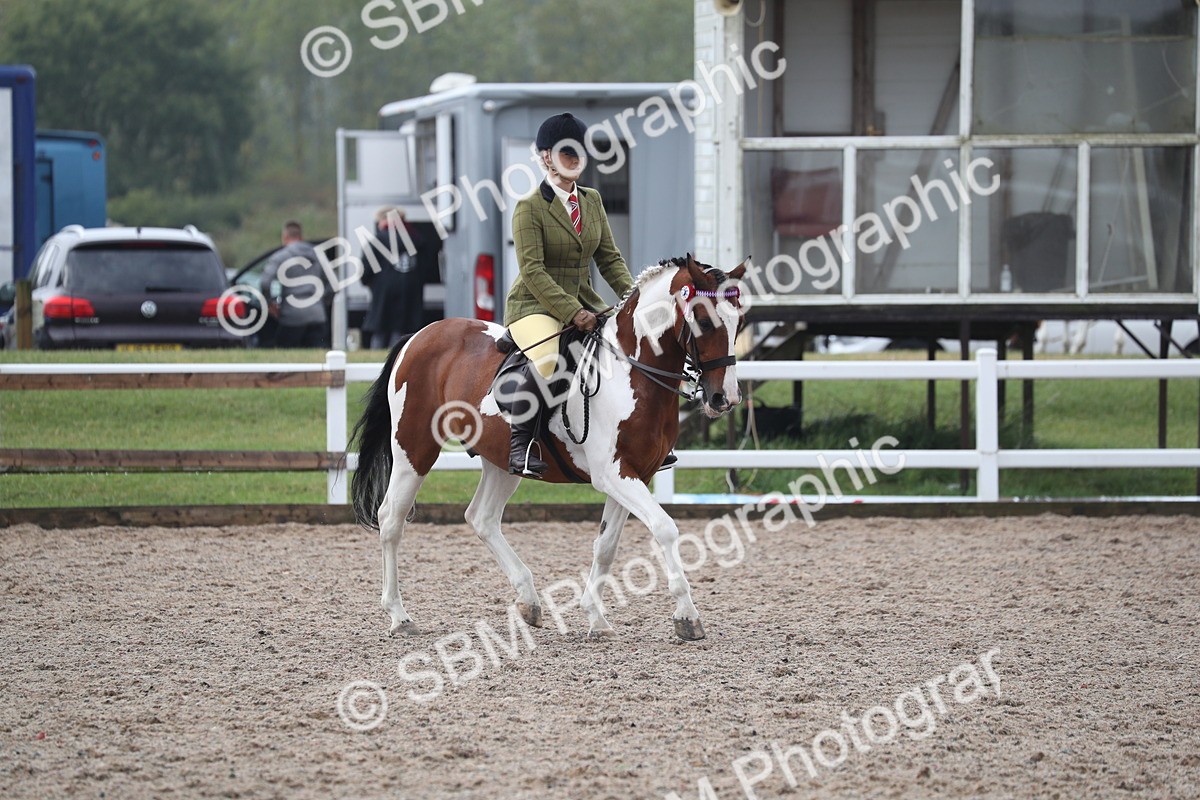 SBM_21626 - Class 602 - 2025 Area - Ridden Veteran