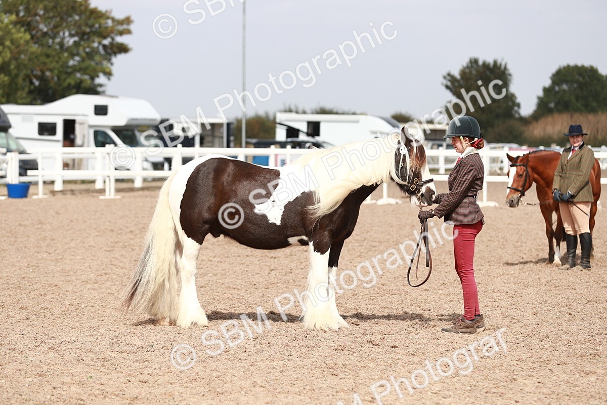 SBM_13897 - Class 209 IH Veteran Pony