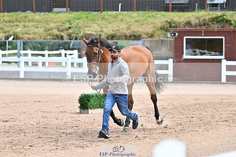 240718A-105255-01330 - Trot Up 12pm to 1pm
