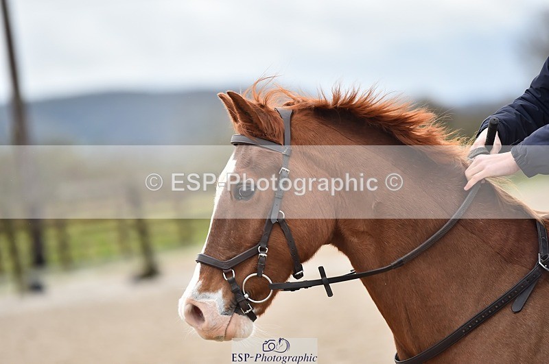 231210-115524-00517 - Cls 3 50cm