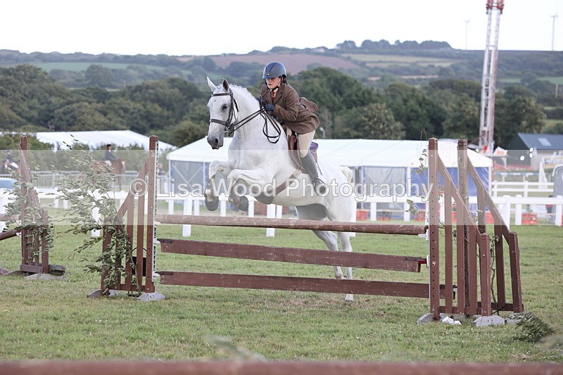 JPP_3645 - Class 24: Open Working Hunter