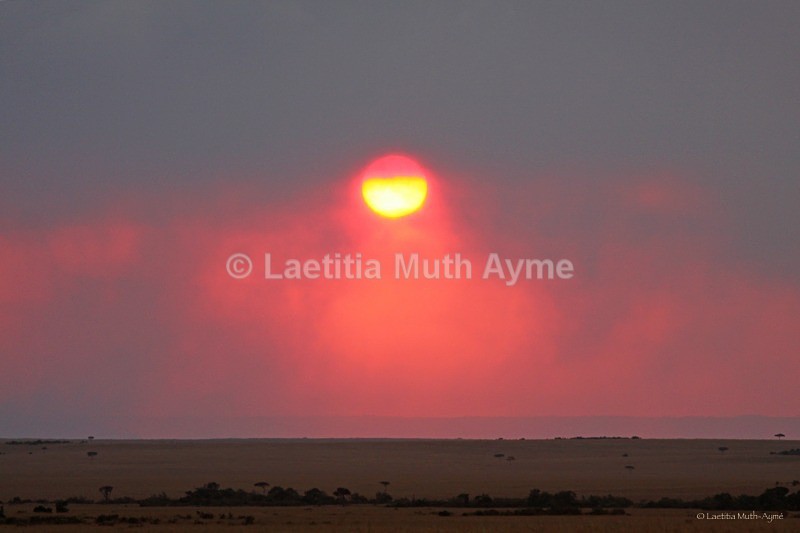 IMG_2244 Maasai Mara - Landscapes