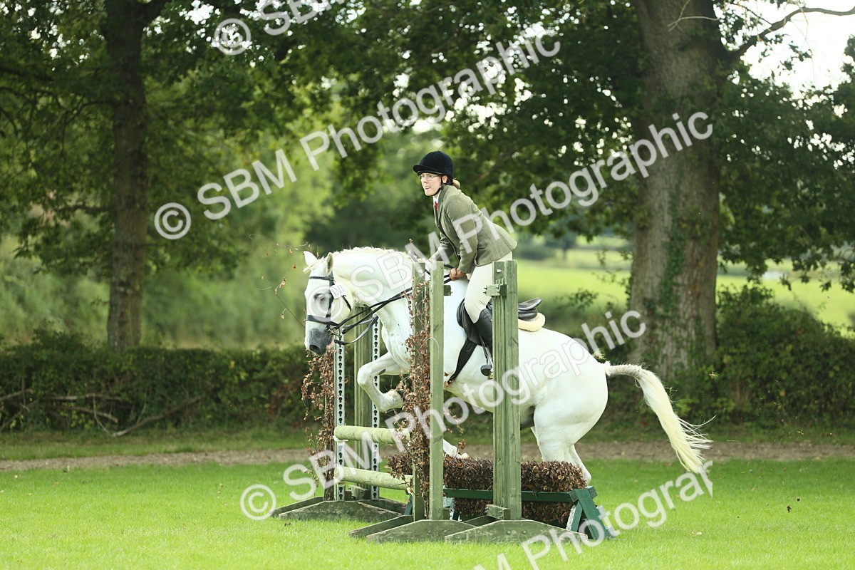 SBM_47935 - S32 - Novice & Newcomers Working Hunter