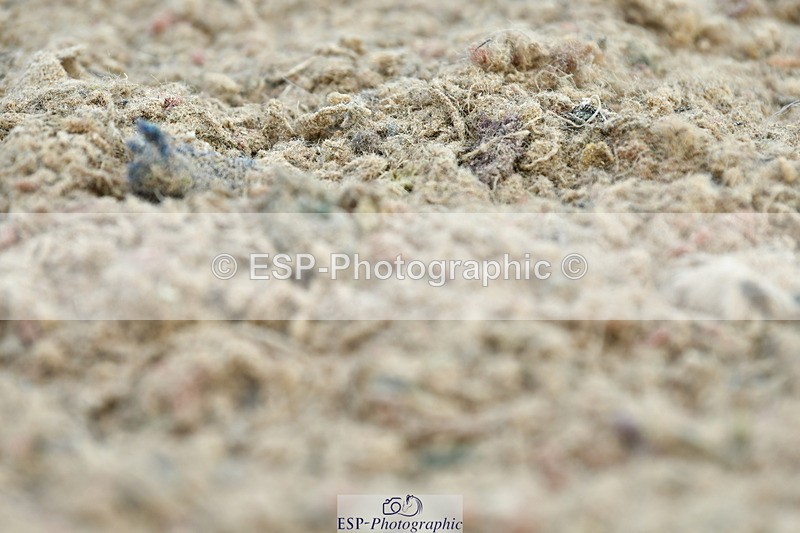 230702A-093311-08155 - Cls 23 Prelim 19