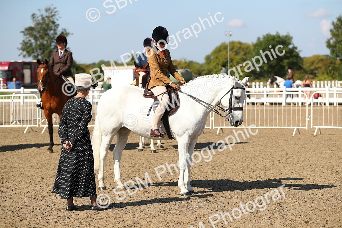 SBM_02301 - Class 43 Ridden Competition Horse/Pony