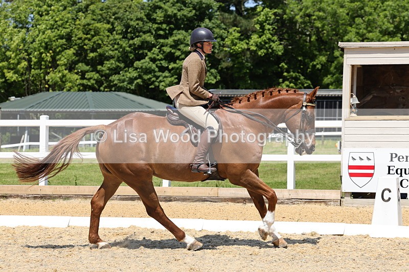 1X9A1849 - Class 12: Ridden Riding Horse/Hack