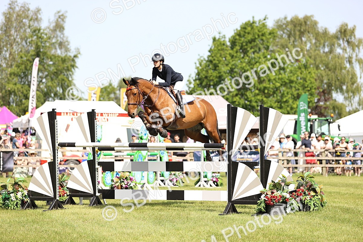 SBM_03118 - Class 201 - British Horse Feedds Speedi Beet HOYS Grade C