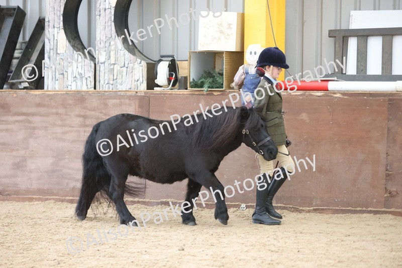 20251109-1193 - Young Handler Championship