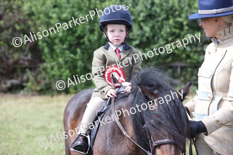 20250831-2742 - Class 17 - Lead Rein Pony