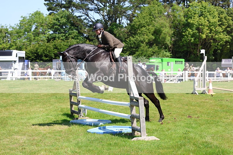 3E7A7000 - Class 30: Novice Working Hunter