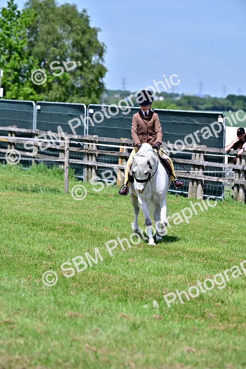 SBM_06035 - Class 59-60 - TSR M&M  Lear Rein and First Ridden Amateur of the year