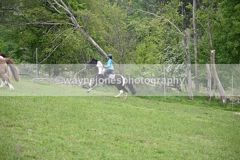 WJ6_3065 - A Camera