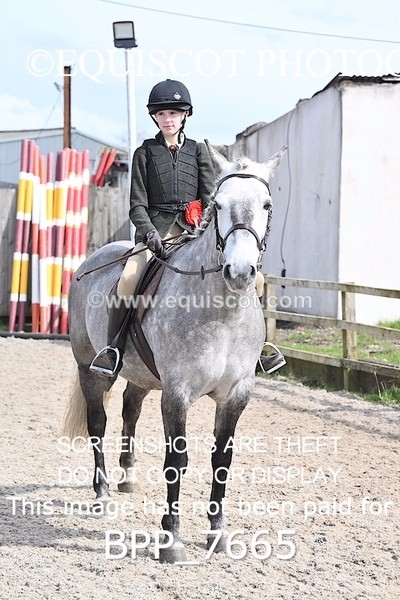 BPP_7665 - RING 1  (RIDDEN HORSES / IN HAND / VETERAN ETC)
