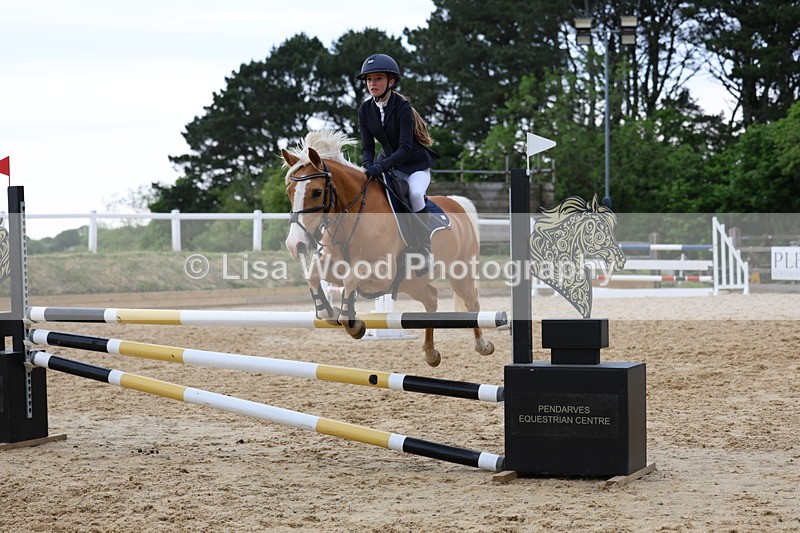 3E7A8525 - Class 14: Pony Newcomers/1m open