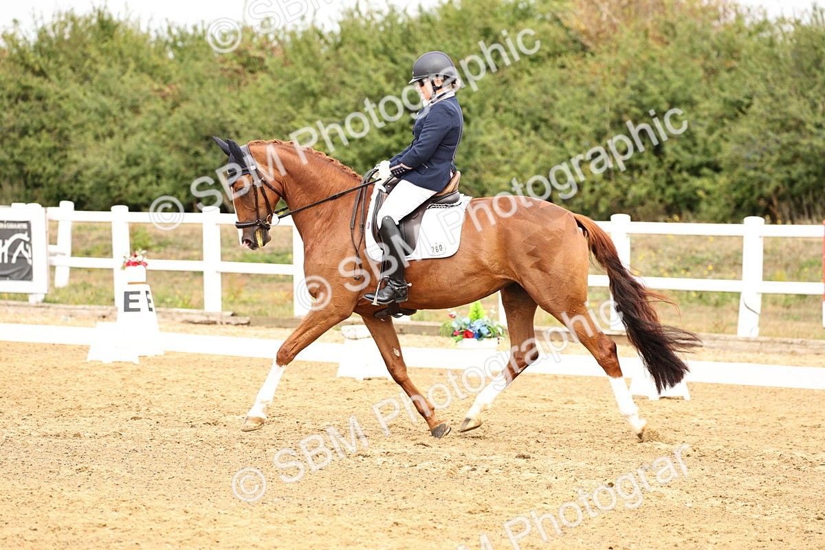 SBM_012306 - Class 2 - Prelim 5