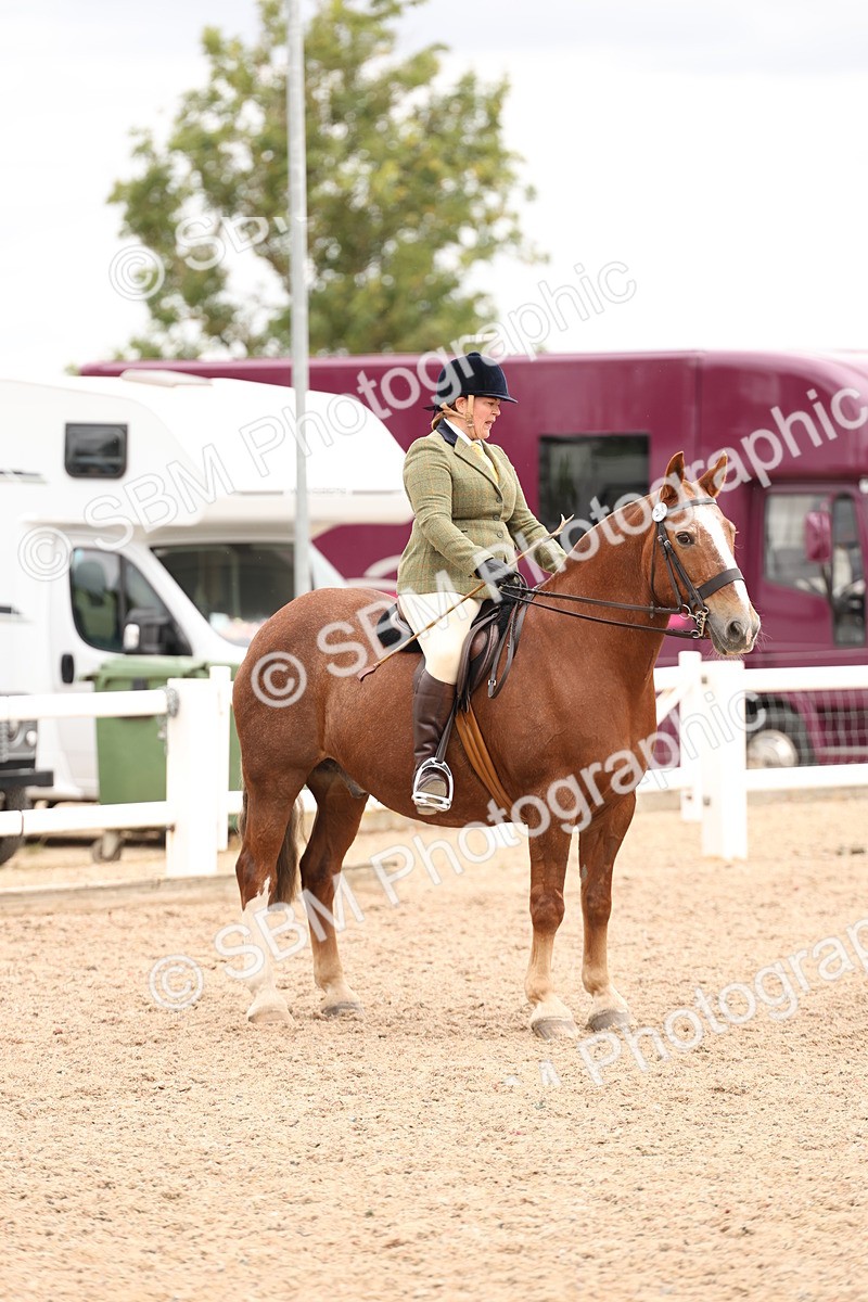 SBM_19591 - Class 215 - Ridden Show cob
