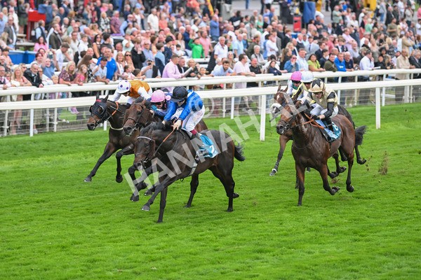 080925-Race 5-Elmonjed-7690 - Race 5 4.30pm Sky Bet Starman Garrowby Stakes