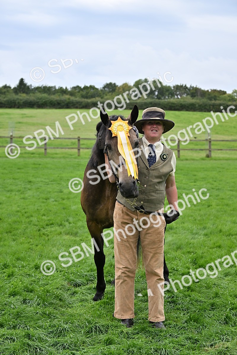 SBM_63336 - S49 - Mountain & Moorland In Hand Large Breeds