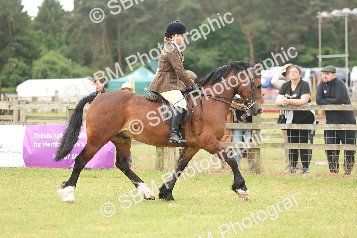 SBM_07281 - Class 76-77 - Ridden M&M Welsh Ponies