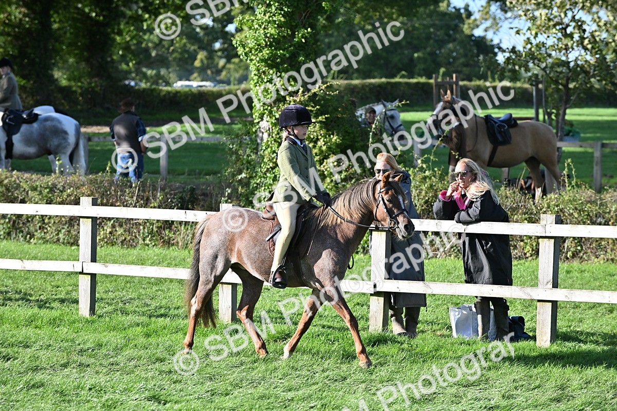 SBM_52991 - S23 - First Ridden Mountain & Moorland Pony