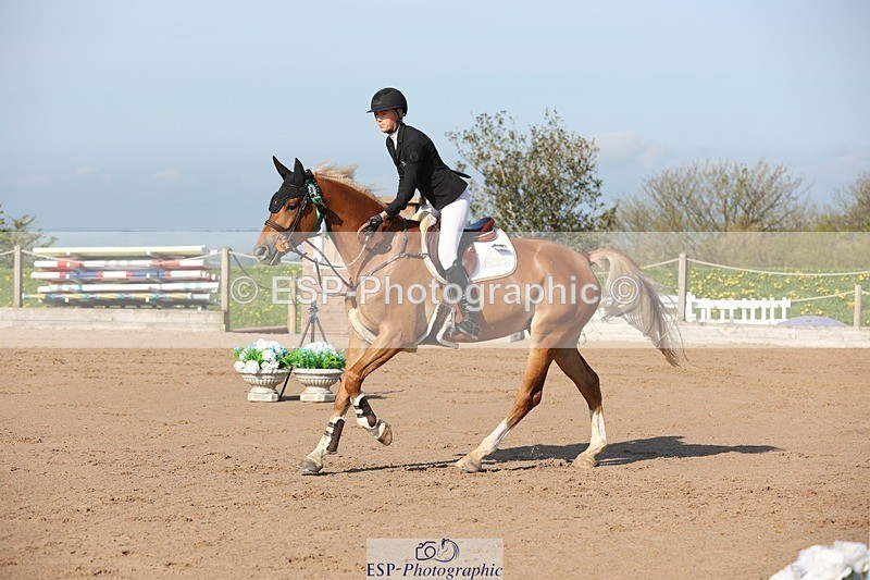 250427-090826-14762 - Cls 28 Young Horse 5yr old