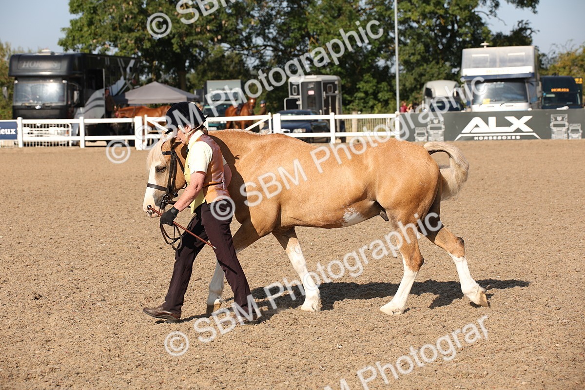 SBM_01492 - Class 15 IH Coloured