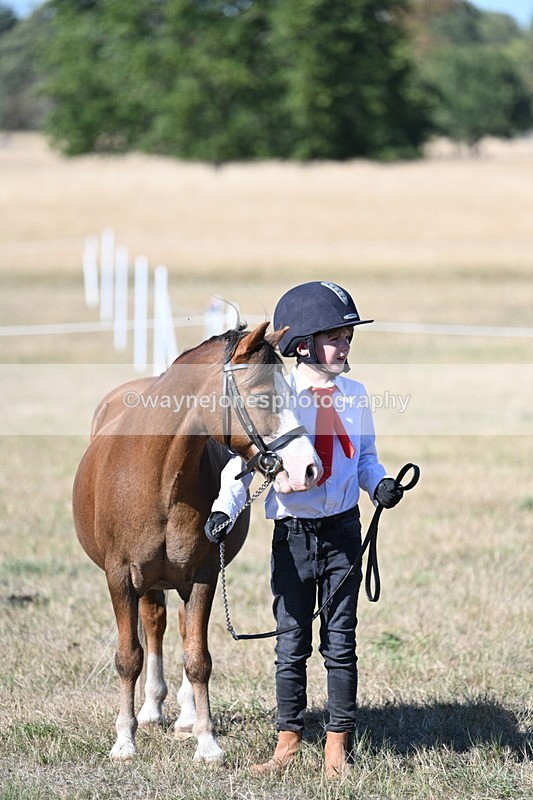 WJ7_2097 - Class 44 Child's Best Friend