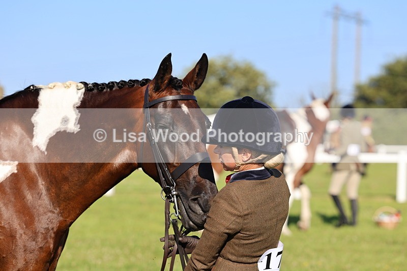 IMG_1325 - Class 27: Ridden Plaited Coloured Horse