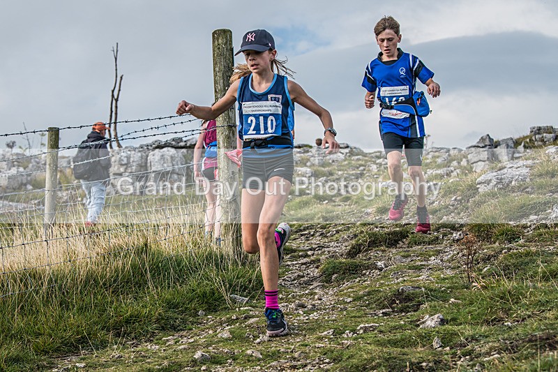 Year 8-9-174 - The English Schools Fell Running Championship Giggleswick Year 8-9 Sunday 6th October 2024