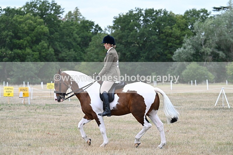 WJ7_4965 - Class 12 Ridden Cob