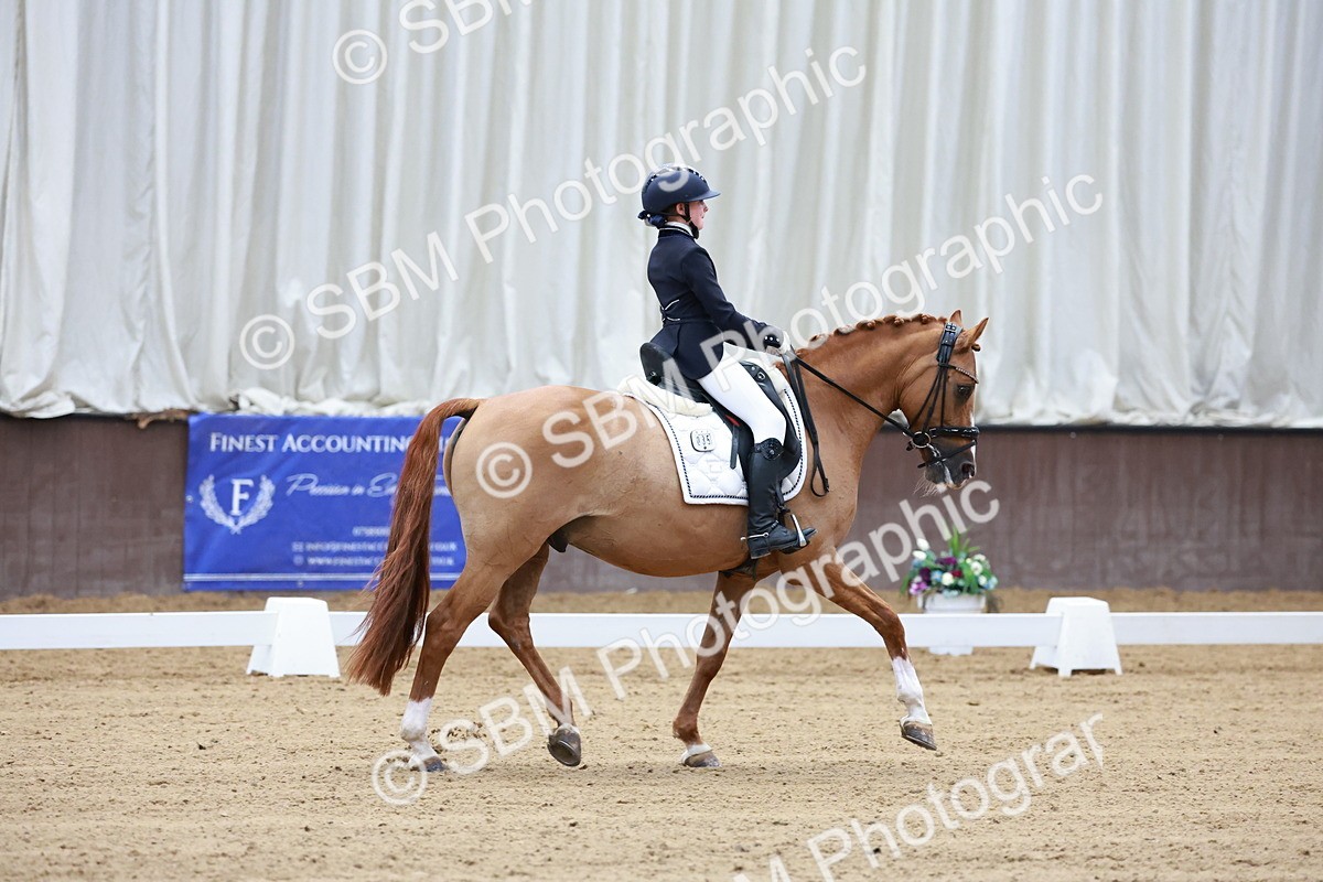 SBM_017066 - Class15 - FEI Pony