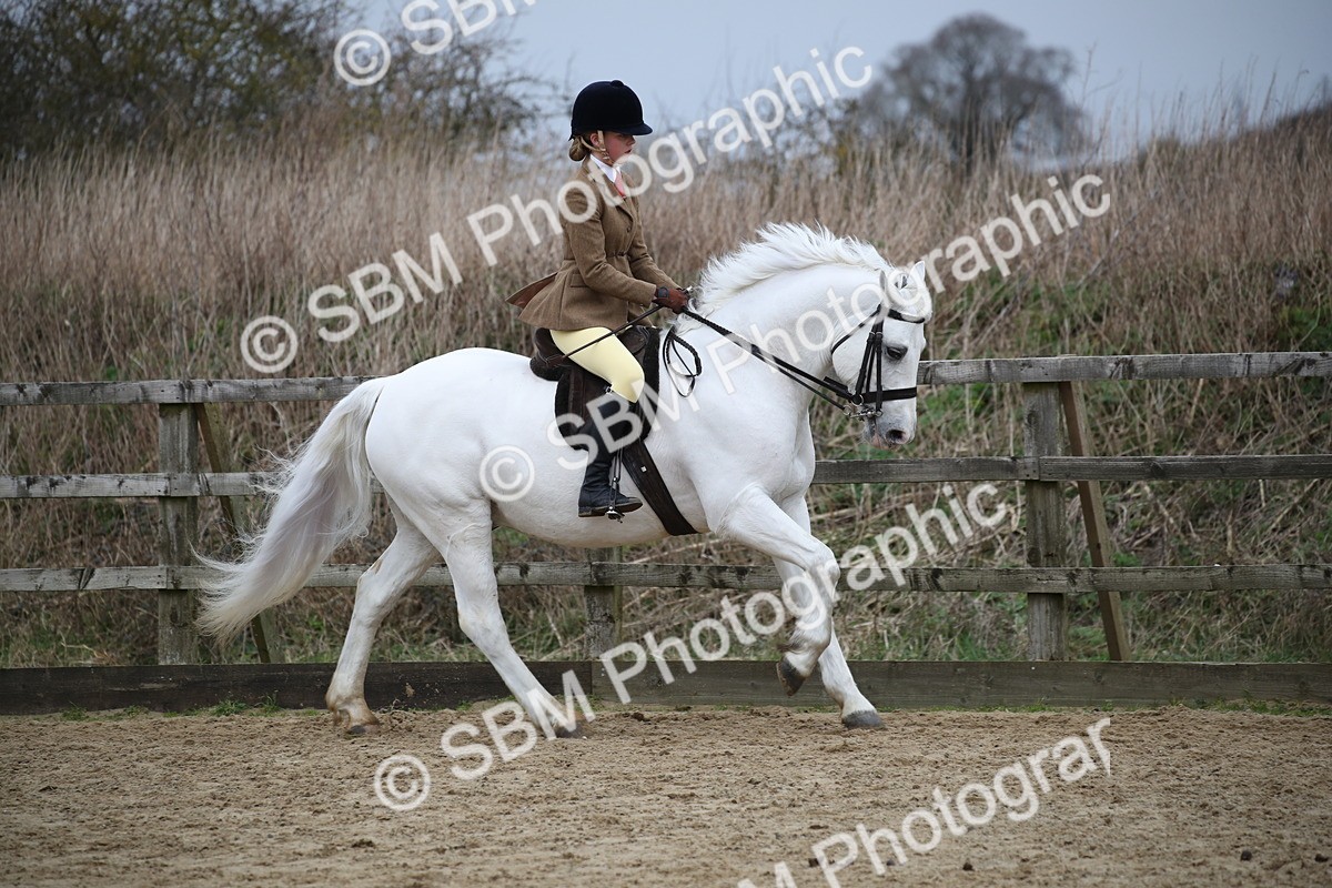 SBM_006100 - Class 10-13 - RIHS Small Large Breeds