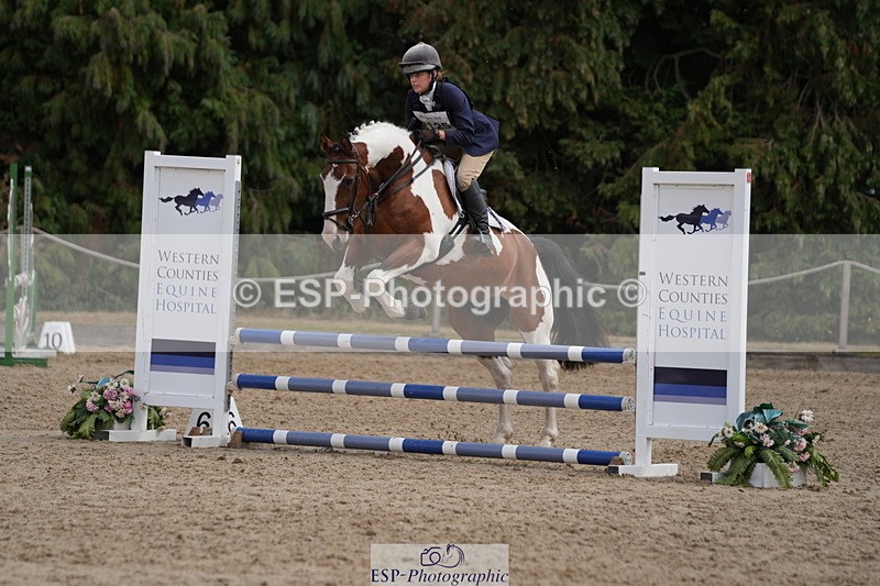 250824A-133057-37532 - 2125-Hen.Jeanes-Painted.proper