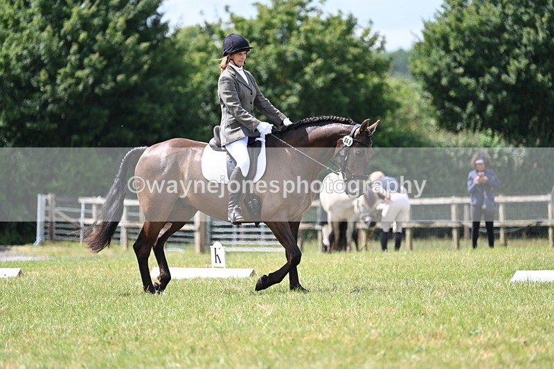 WJ7_4818 - Time 11:22 to 11:51