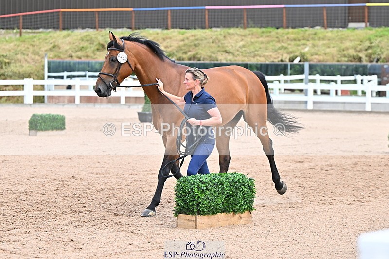 240718A-105322-01916 - Trot Up 2pm to 3pm - This folder is not in time order