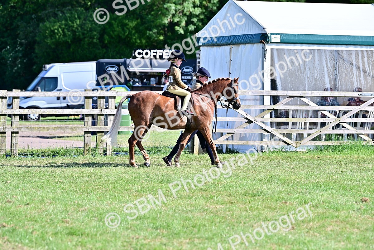SBM_19799 - Class 103 - 105 - TSR Ridden Amateur of the Year Plaited Ponies