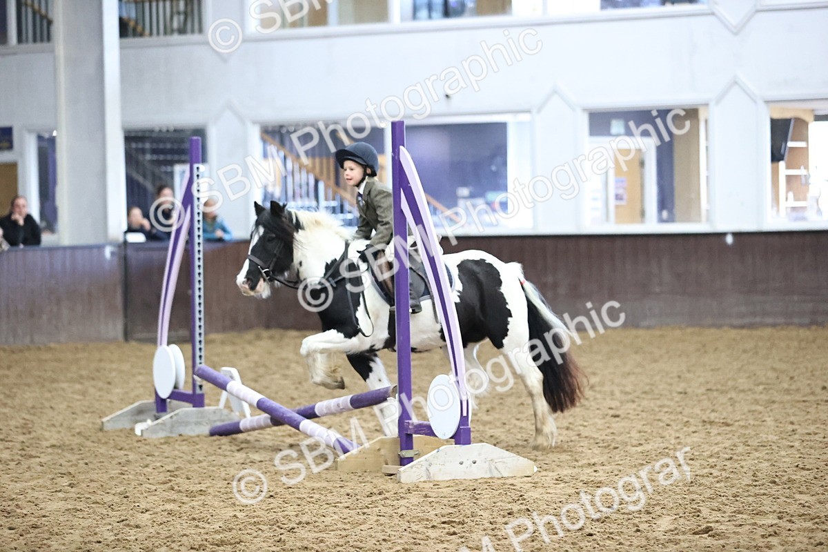 SBM_000174 - Class 2 - The Rug Lady 40cm Area 12 Championship Qualifier