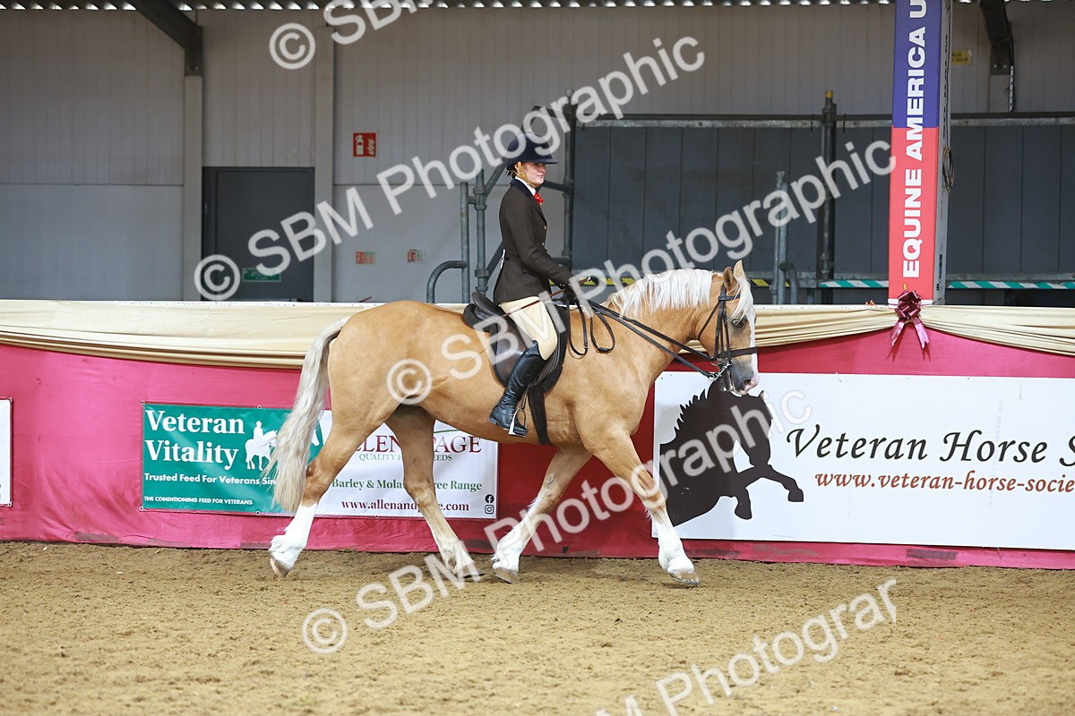 SBM_09374 - Class 102 - HOYS Veteran Qualifier - Ridden Veteran