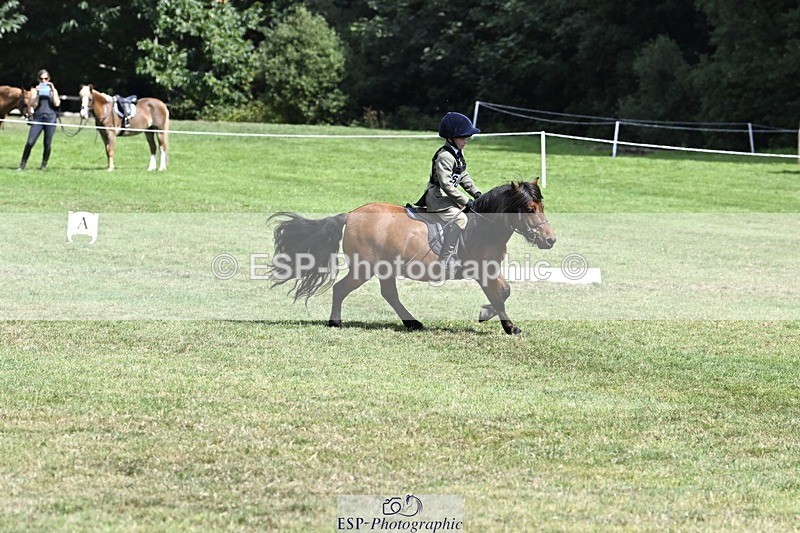 250822A-115651-22453 - DR 11.00 to 12.00