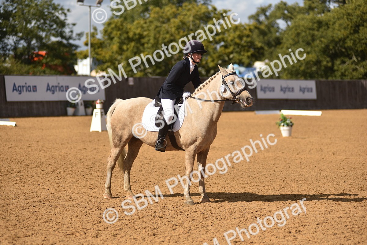 SBM_48782 - D22 - Junior Championship Intro 3