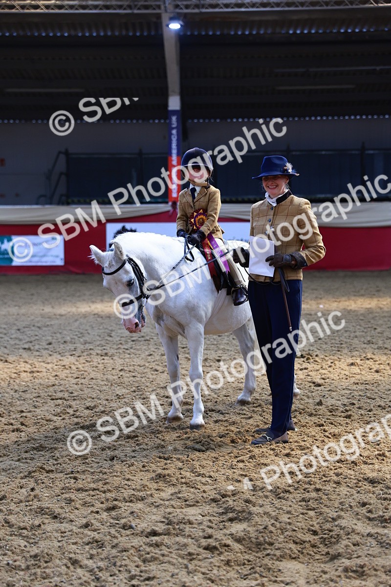 SBM_12794 - HOYS Veteran Qualifier - Ridden Champ