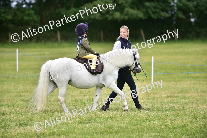 20260614-3622 - Class 15 - Prettiest Mare