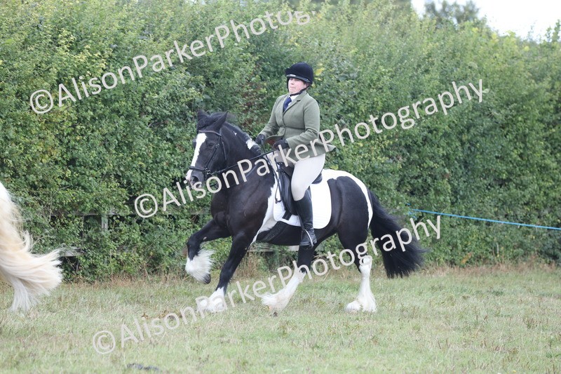 20250831-4281 - Class 20 - Ridden Coloured