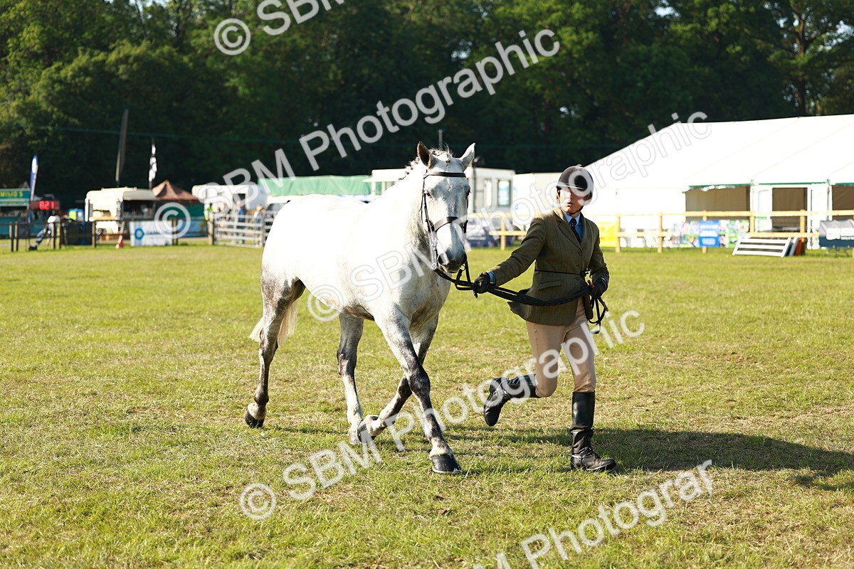 SBM_10816 - Class 66-69 - RIHS Ridden Hunters Inc Small Hunter