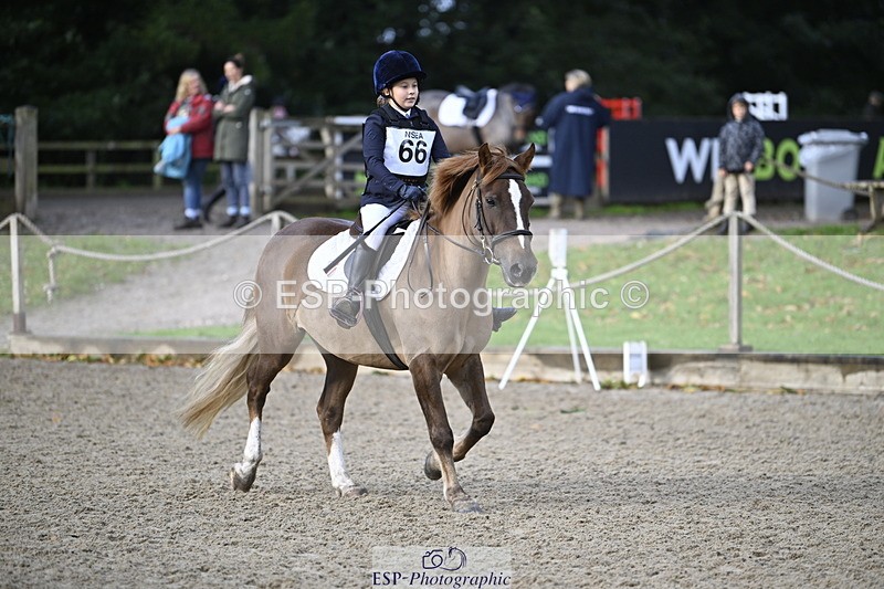 251005A-090129-02913 - Cls 02 GR 50cm