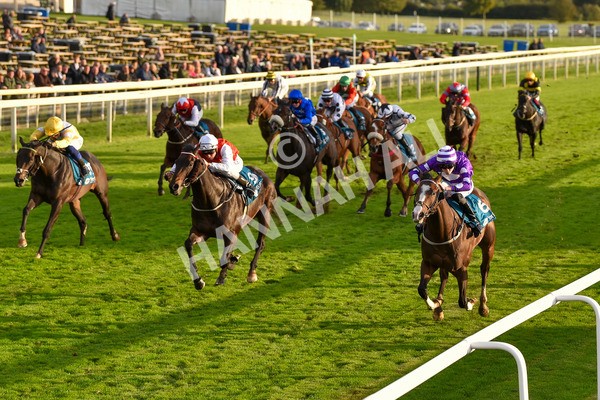 131023-Race 6-Wen Moon-9886 - Race 6 5.00pm Copper Knight - Winning Most Horse At York Handicap