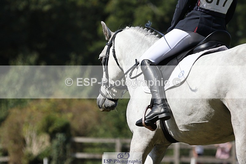 250823A-115618-29346 - Arena D