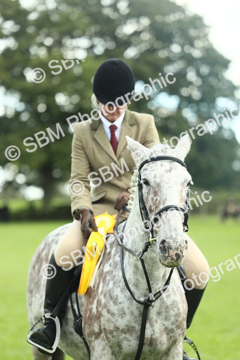 SBM_42210 - S29 - Novice & Newcomers Working Hunter Pony